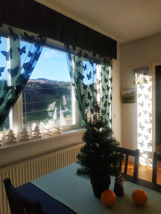 Apartmaji Sofia Maribor Zewnętrze zdjęcie