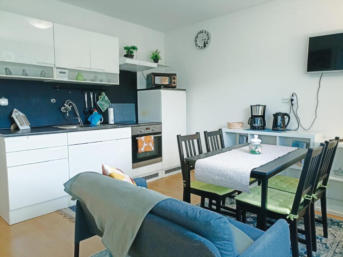 Apartmaji Sofia Maribor Zewnętrze zdjęcie